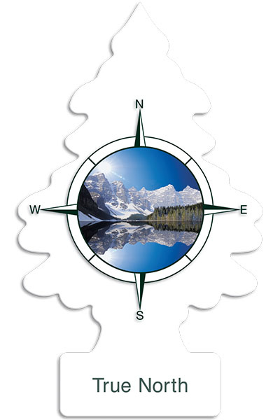 árvore Do Norte Verdadeiro